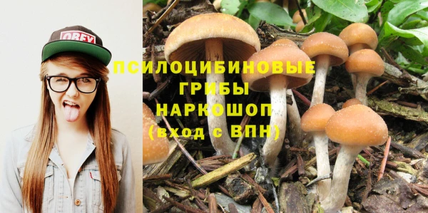 дурь Алексеевка