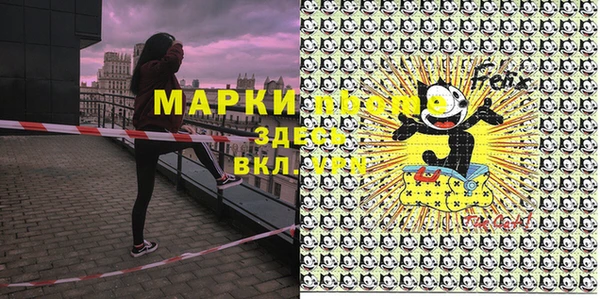 прущие грибы Алексин