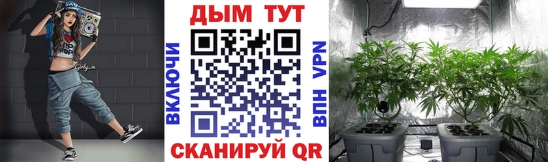 купить   Изобильный  Шишки марихуана ГИДРОПОН 